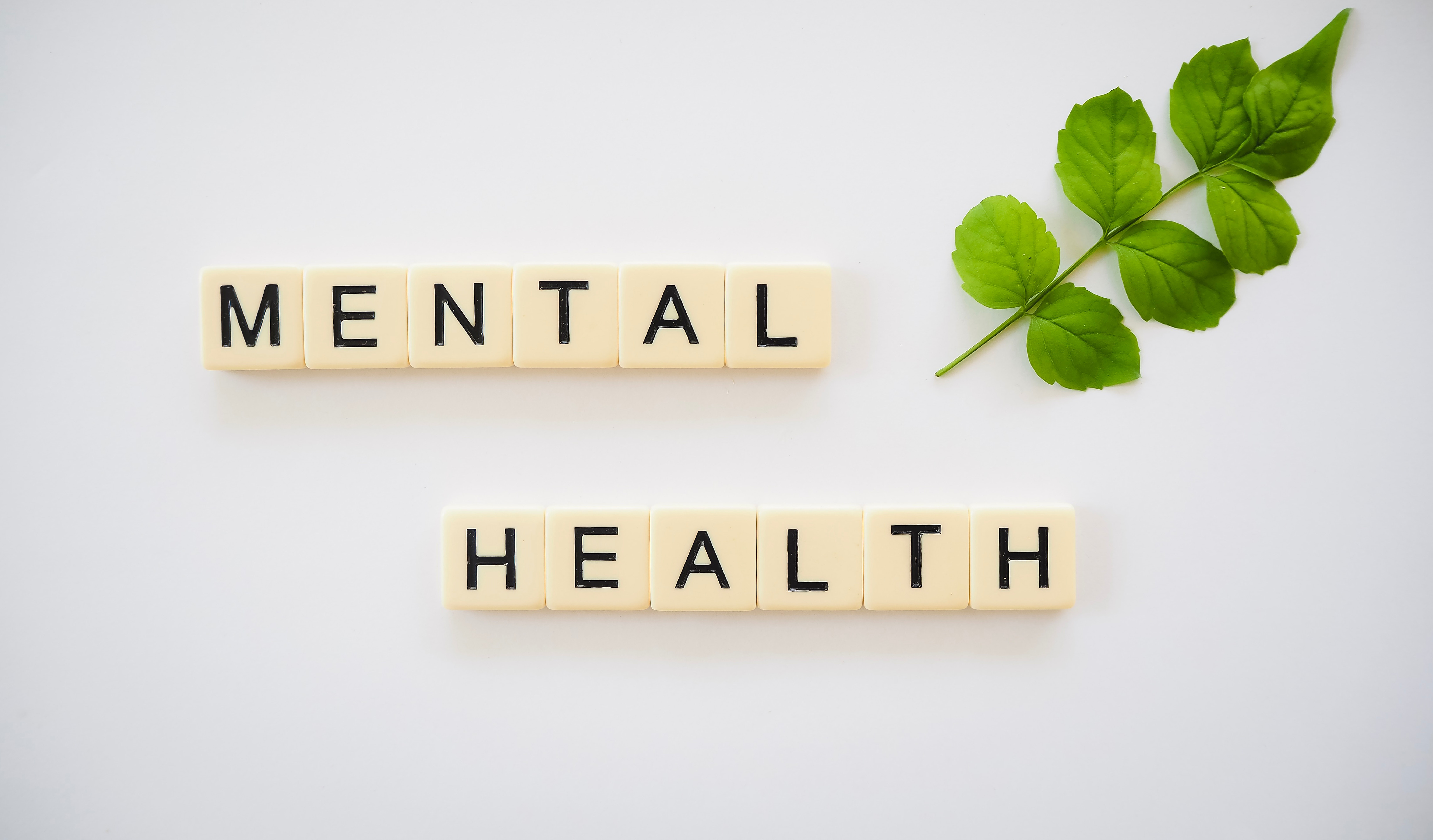 Mentale Gesundheit – Wie sie unser gesamtes Leben beeinflusst